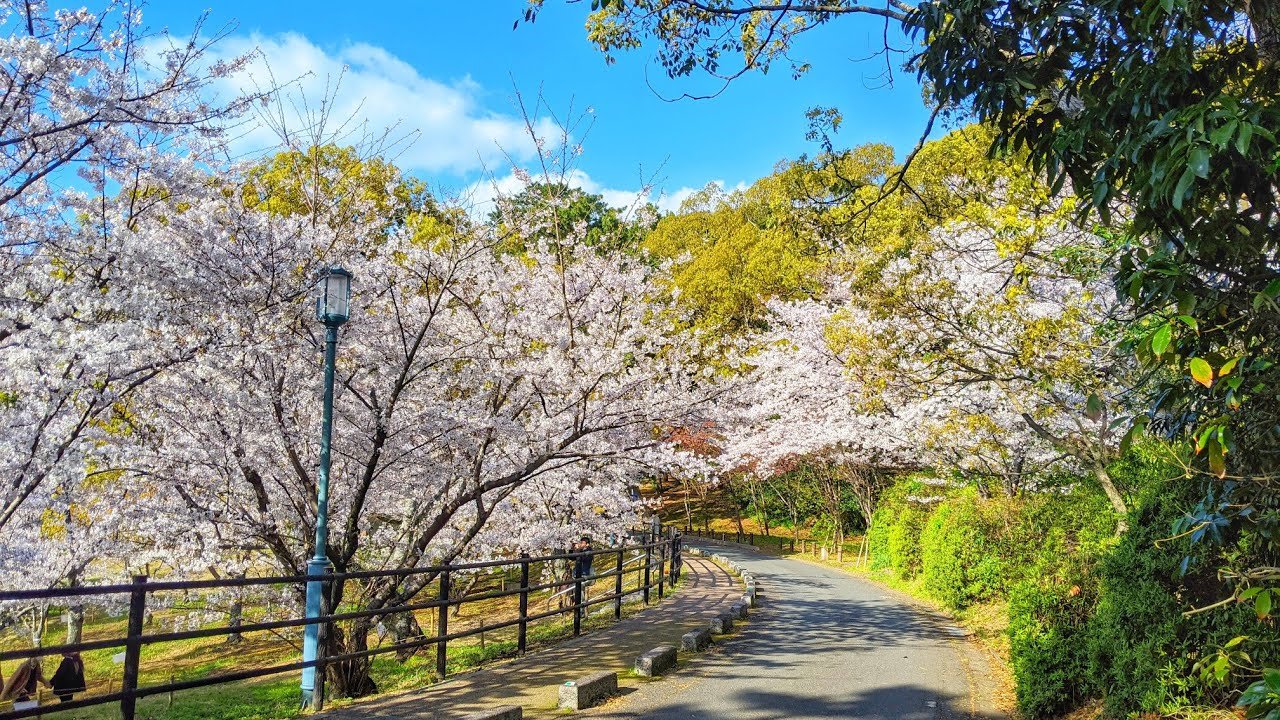 🏞️ 니시 공원(니시코엔) 이미지 4
